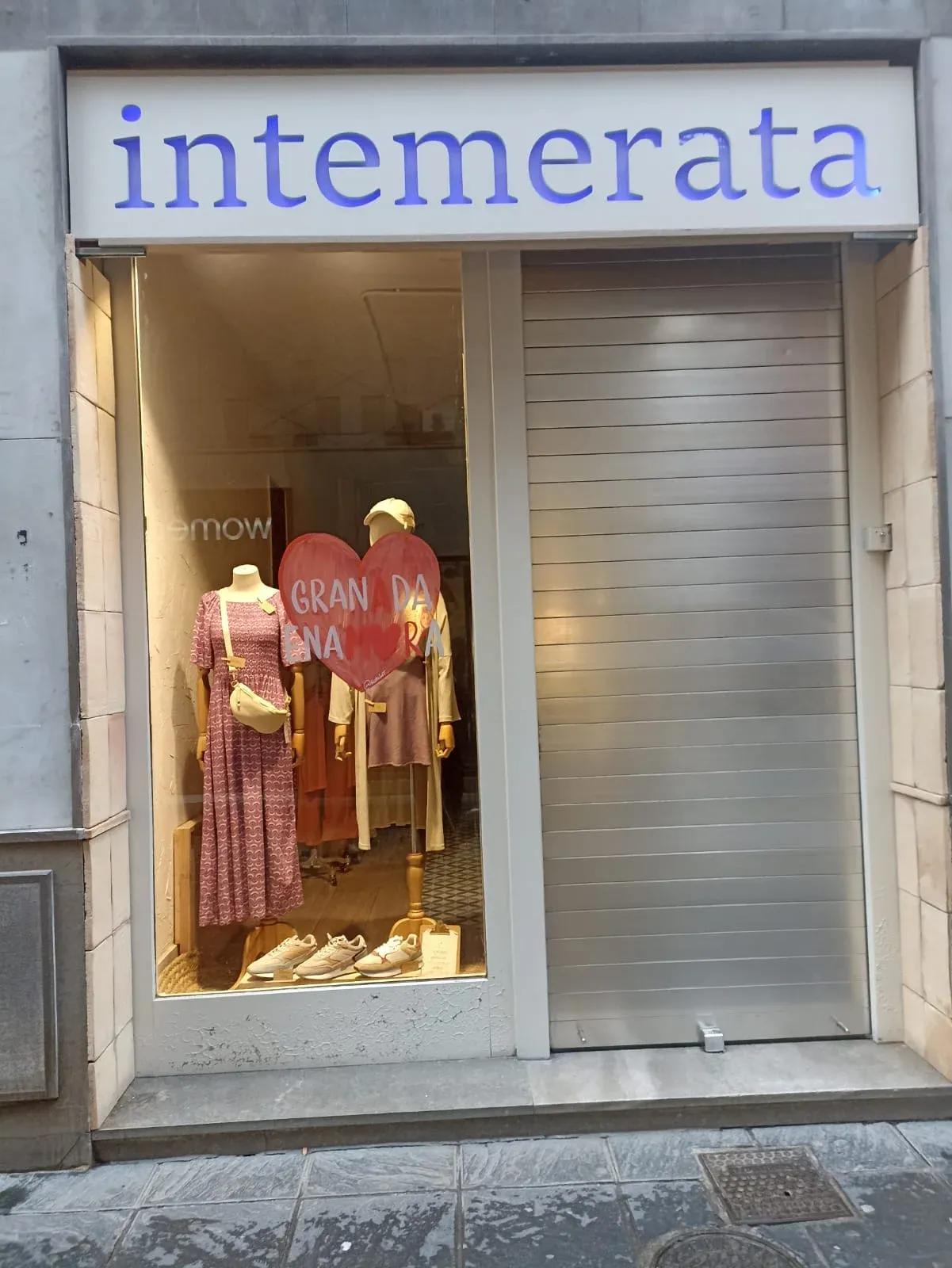 AUTOMATISMOS NEVADA PUERTAS AUTOMÁTICAS